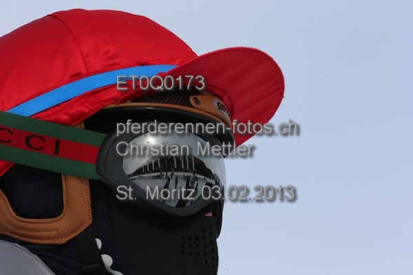 ET0Q0173 prot